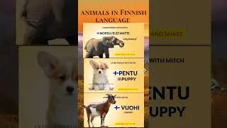 elephant,puppy and goat in Finnish language #beginners #animals #finnishlanguage #shorts