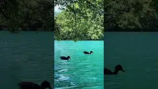 📍Plitvice Lakes National Park, Croatia
