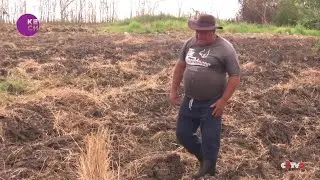 Severe drought plagues Cuba