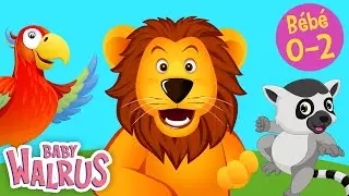 Apprendre tôt en s'amusant #3 | Les Animaux de la jungle 🐯 Comptage & couleurs | Educatif