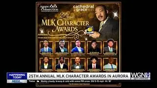 WGN9: 25th Annual MLK Character Awards