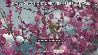 FEBRUARY 7 || DAILY BIBLE READING AND MEDITATIONS