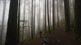 My Favorite Hike in Eugene, Oregon