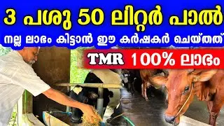 3 പശുക്കൾ, മാസം 69000 രൂപയുടെ ഉത്പാദനം. ഇത്രക്കും ലാഭത്തിന് കാരണം ഇതാണ്. | Successful dairy farming 