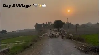 Day 3 village | Mera Gaon’ | Noman K77 Vlogs ! 😍❤️