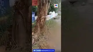 ബൈക്ക് മരത്തിലിടിച്ചു; രണ്ട് യുവാക്കൾ മരിച്ചു  #Thrissur #BikeAccident