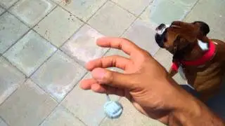 9 Step Begleri Trick