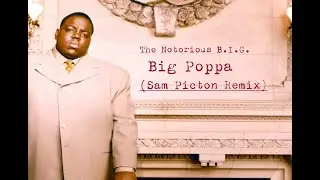 The Notorious B.I.G. - Big Poppa (Sam Picton Remix)