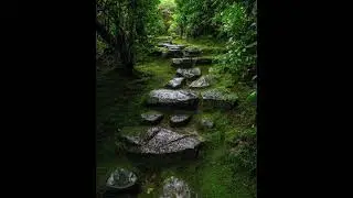#дримба #jawharp #jewsharp #варган