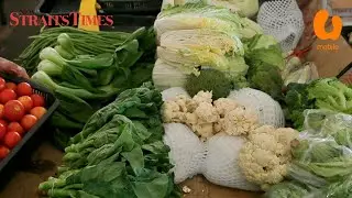 CAP: Stop indiscriminate increase of vegetable prices