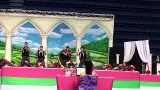 HANY 2014 General Show: