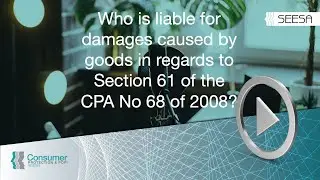 Who is liable for damages caused by goods in regards to Section 61 of the CPA No 68 of 2008?