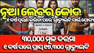 ନୂଆ Labour Law 2025 | 50% Basic Pay Rule Explained | Salary କେମିତି ବଦଳିବ?