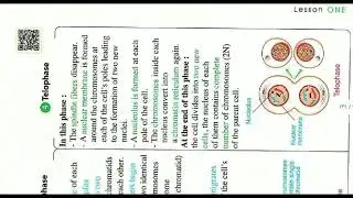 Unit 4 lesson 1 prep 3 first term 