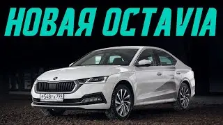 Новая Октавия &mdash; теперь от 1,4 млн. Покупать или нет? Подробный тест-драйв Skoda Octavia 2020