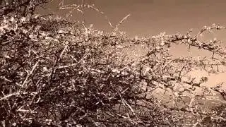 KS2 Poem Winter by Walter de la Mare