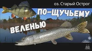 ЩУКА И ОКУНЬ • СТАРЫЙ ОСТРОГ • РУССКАЯ РЫБАЛКА 4 • РР4