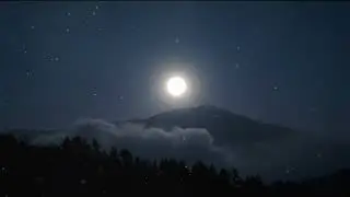 Owl Echoes Under the Full Moon | Relaxing Night Forest Ambience