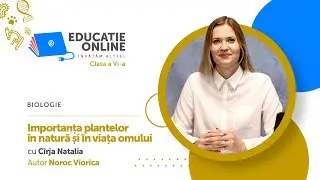 Biologie, Clasa a VI-a, Importanța plantelor în natură și în viața omului