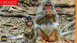 Cutie Boy Jody Join Mama Jane Eating Fruit