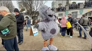 Moppy Attends the English Bay Polar Bear Swim 2025