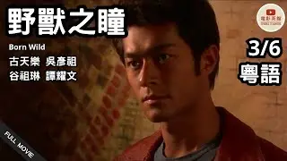 [粵語電影] 野獸之瞳 (3/6) | Born Wild | 古天樂, 吳彥祖, 谷祖琳, 譚耀文 | (2001) #港片經典 #粵語電影 #懷舊港片