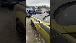 Аукцион широкофюзеляжных Dodge Challenger T/A &mdash; загадка биологической опасности?