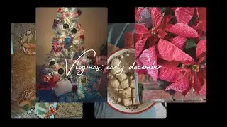 Wet specimens, going to see the ballet, Christmas decor, last minute shopping | Vlogmas 1 of 2 🎄