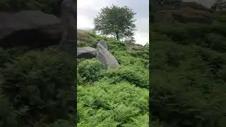 dove stone alphin pike