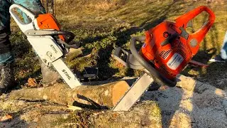 Stihl MS 391 VS Husqarna 450 ll the best light chainsaw?