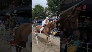 🐴 Ringrijden Vlissingen 🇳🇱  Netherlands @TravelwithHugoF #ringrijden #vlissingen