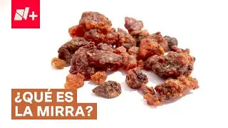 Mirra: &iquest;Qu&eacute; es y por qu&eacute; la regalaron los Reyes Magos al ni&ntilde;o Jes&uacute;s? - N+