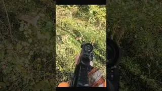 Hunting deer from a tree with perfect shot #hunting #deer#moose#chasse