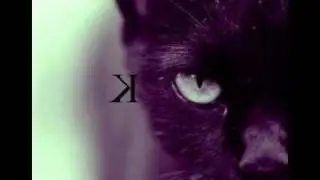 Weatherchange(Tool - Disposition mix) - K