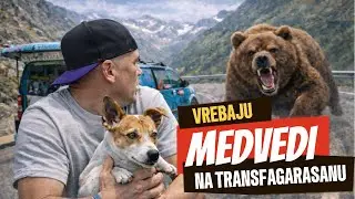 TRANSFAGARAŠAN 🇷🇴 *MEDVEDI NA PUTU - KIŠA - PROBUŠILA MI SE GUMA 🙉