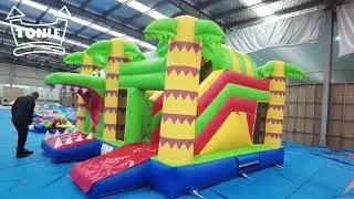 Dinosaur Palm Tree Boy dry  Slide Castle Combo