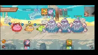 EASY FARM SA RUIN 20 | TITO POW