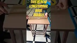 This is how longitudinal waves (like sound waves) travel through a medium #science #physics