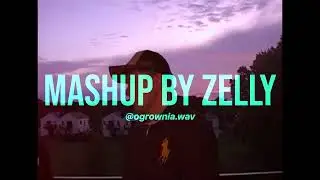 PIGLUSS - OSTATNI POCIĄG (mashup by zelly)