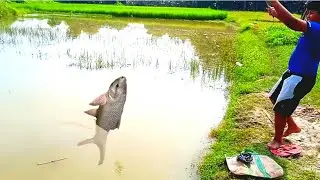 Awesome Fishing Video | Best Hook Fishing 2021 | Little Boy Hunting Big Fish | Fishing With Hook