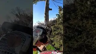Cutting the Top Off a Split Co-Dominant