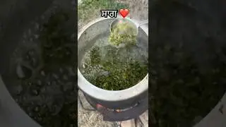 saag #loverpunjab #ਸਾਗ #punjabfood #villagefood #pind #siyal #winters #jordensandhu #punjabisong