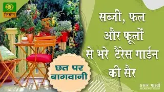 Chhat par bagwani :Easy way to grow Vegetables, Fruits, Flower Plants and Herbs on Terrace Garden