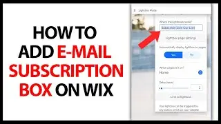 How to Add E-mail Subscription Box on Wix in 2025