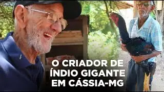 VENDO A R$ 2500,00 A DÚZIA