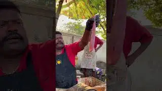 KASIMEDU VERY RARE FISH CUTTING VIDEO CUTTING SPOT #kasimeduselvam #bigfishcutting #youtube
