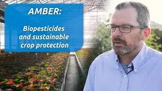 Importance of biopesticides for sustainable crop protection
