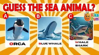 Fun Sea Animals Quiz 🌊🐠 | Ocean Trivia for Kids | kikapum