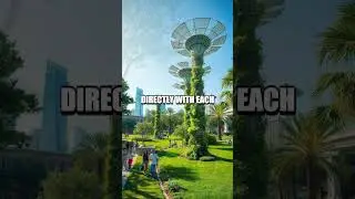 Innovative Pathways: The Unfolding Story of Power Ledger