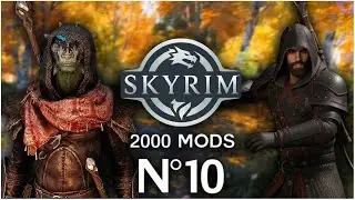 SKYRIM 2000 MODS LET'S PLAY FR #10 ON CHERCHE UN NOUVEAU COMPAGNON